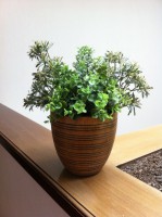 /album/fotogaleria/la-foto-4-jpg/